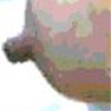 Copyright ©1974-2004 Barry Brothers